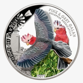 World Of Parrots Coins, HD Png Download, Free Download
