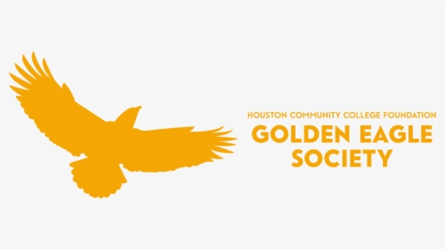 Transparent Golden Eagle Png - Houston Community College Eagle, Png Download, Free Download