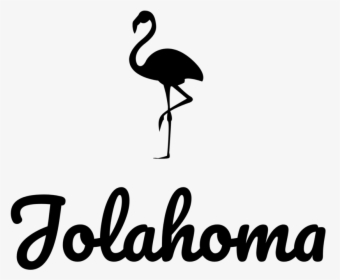 Greater Flamingo, HD Png Download, Free Download