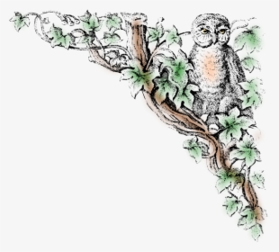 Clip Art Owls Public Domain, HD Png Download, Free Download