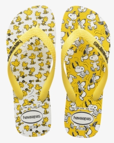 Womens Flip Flop Havaianas, HD Png Download, Free Download