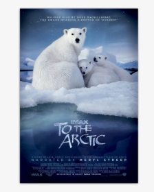 To The Arctic Poster, HD Png Download, Free Download