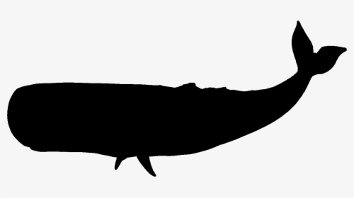 Whale Clipart Silhouette - Blue Whale Silhouette Png, Transparent Png, Free Download