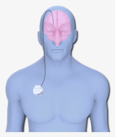 Alex Dbs System - Bust, HD Png Download, Free Download