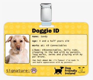 Hello, Lauren Mcilvenna Here, Proud Dog Mum To Sandy - Dogs Trust, HD Png Download, Free Download