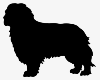 Dog Silhouette Border Collie, HD Png Download, Free Download