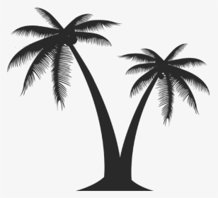 Miami Soul Week Palm Copy - Vector Palm Tree Png, Transparent Png, Free Download