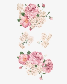 Painting Drawing Peony Hand-painted Free Download Png - Flower Decal Png, Transparent Png, Free Download