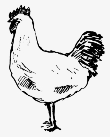 Hen Rubber Stamp - Rooster, HD Png Download, Free Download