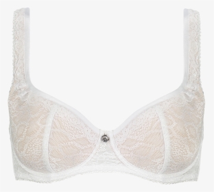 Snakes , Png Download - Brassiere, Transparent Png, Free Download