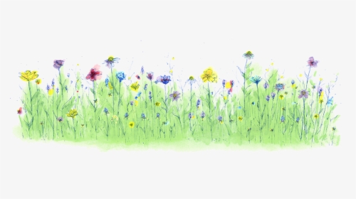 Dandelion , Png Download - Water Color Grass Png, Transparent Png, Free Download