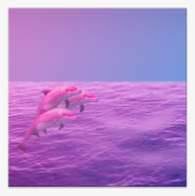 Azulejo Dolphin De Renan Oliveirana - Bottlenose Dolphin, HD Png Download, Free Download