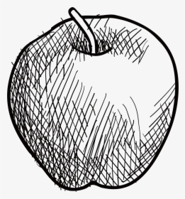 Drawing Apple Sketch - Drawing Apple Sketch Png, Transparent Png, Free Download