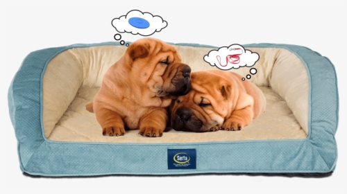 Two Puppies Sleeping On Serta Pet Bed Dreaming - Shar Pei, HD Png Download, Free Download