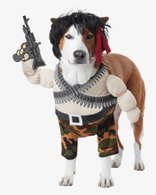 Rambo Dog Costume, HD Png Download, Free Download