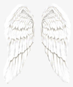 Angel Wings, HD Png Download, Free Download