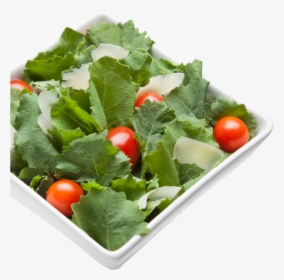 Kale Transparent Lettuce Clip Art Download - Kale Salad Transparent Background, HD Png Download, Free Download