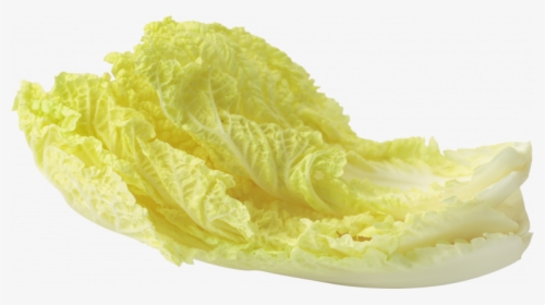 Download And Use Salad Png Image Without Background - Lettuce Yellow Leaf Png, Transparent Png, Free Download