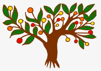 Fruit Tree Color Drawing Branch - Activity David Abigail Nabal, HD Png Download, Free Download