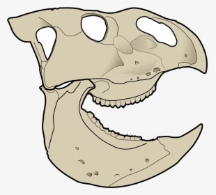 Udanoceratops Fossil, HD Png Download, Free Download