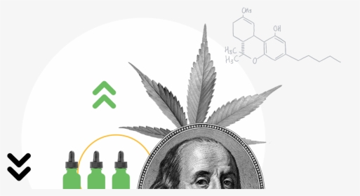 Cannabis Investment Opportunities - 100 Dollar Bill, HD Png Download, Free Download