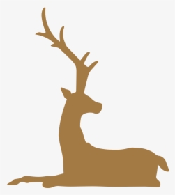 Reindeer Antlers Png Tumblr, Transparent Png, Free Download