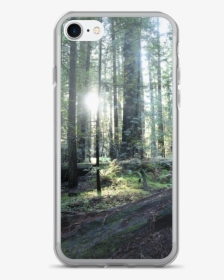 Iphone 7/7 Plus Case Red Wood Forest By Ventcri - Spruce-fir Forest, HD Png Download, Free Download