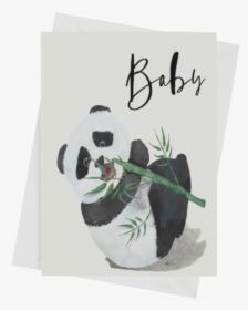 Baby Panda Png, Transparent Png, Free Download