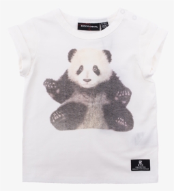 Sweater, HD Png Download, Free Download