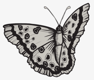 Design, Butterfly, Bug, Wings, Art, Insect, Moth - Lg C330 Black Silver, HD Png Download, Free Download