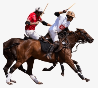 Portsea Polo - Polo, HD Png Download, Free Download
