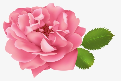 Bush Clipart Gardem - Garden Roses, HD Png Download, Free Download