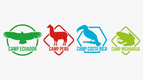 Llama Clipart South America Animal, HD Png Download, Free Download