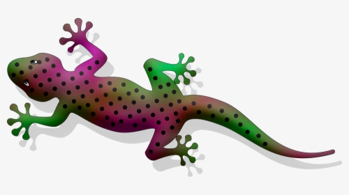 Gecko Clipart, HD Png Download, Free Download