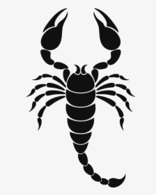 Zodiac Drawing Scorpion - Scorpions Clipart, HD Png Download, Free Download