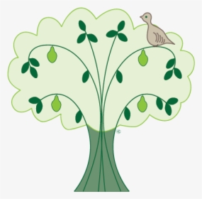Pear Tree Png, Transparent Png, Free Download