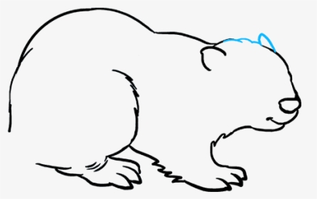 How To Draw Beaver - Sketch, HD Png Download, Free Download