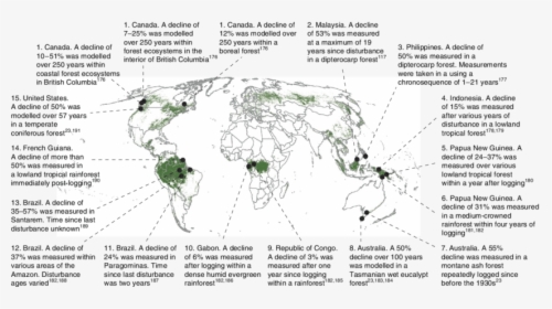 Forest Degradation And Carbon Loss - Atlas, HD Png Download, Free Download
