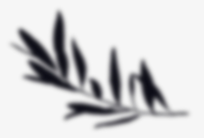 Calligraphy, HD Png Download, Free Download