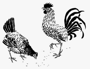 Rooster And Hen Clipart Svg Black And White Library - Hen And Rooster Vector, HD Png Download, Free Download