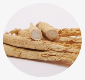 Corn Tortilla, HD Png Download, Free Download
