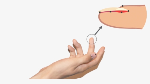 Nail, HD Png Download, Free Download