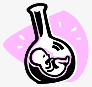 Vector Illustration Of Fetus Prenatal Human Between, HD Png Download, Free Download