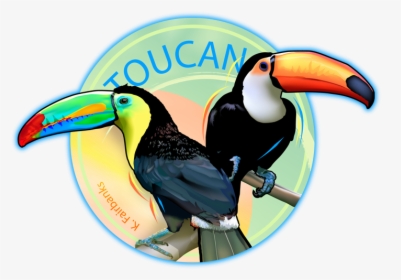 723 X 524 - Color Toucan Drawing, HD Png Download, Free Download