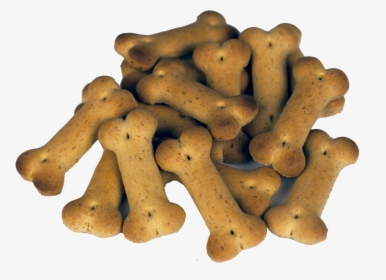 Zingiber, HD Png Download, Free Download