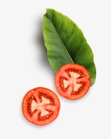 Tomato Slices And Leaf - Transparent Background Tomato Slice Png, Png Download, Free Download