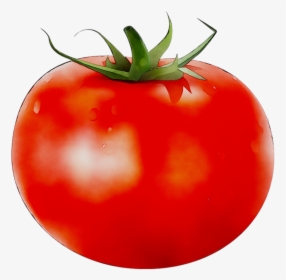 Plum Tomato Bush Tomato Food Vegetable - Plum Tomato, HD Png Download, Free Download