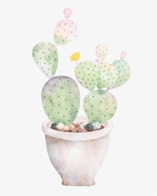 Hand Painted A Plate Of Cactus Png Transparent - Barbary Fig, Png Download, Free Download