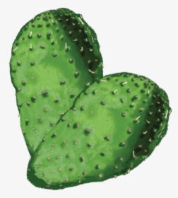 Cactus - Eastern Prickly Pear, HD Png Download, Free Download