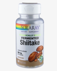 Shiitake, HD Png Download, Free Download